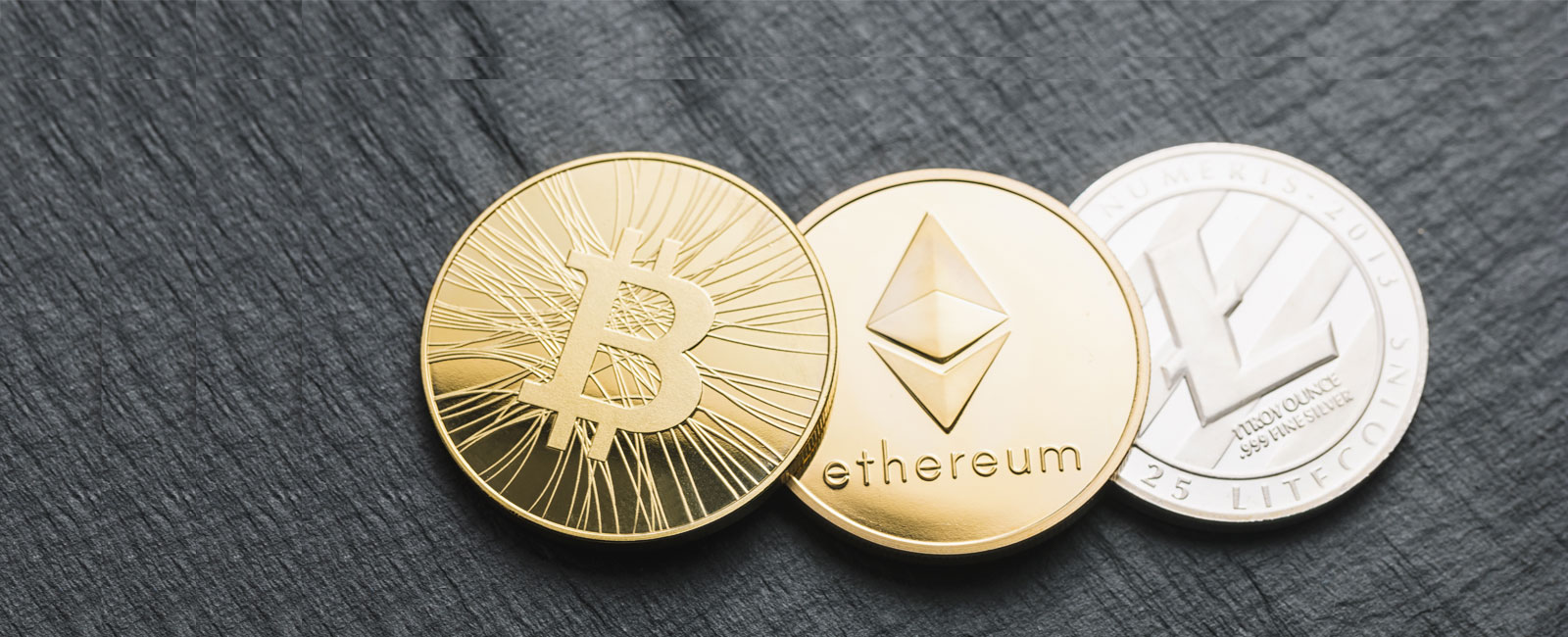 Paymium | Newfund Capital - VC Firm