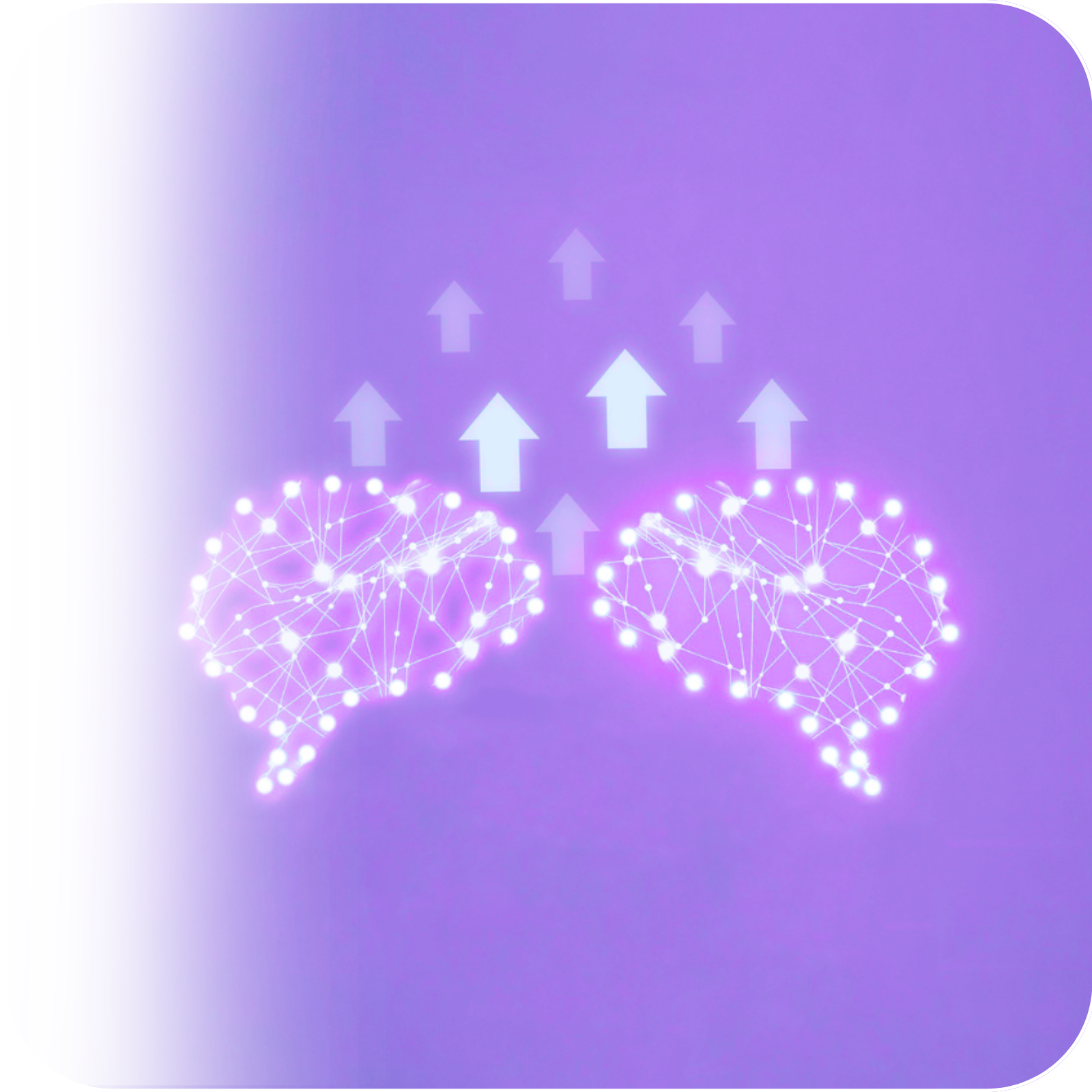 HEKA - Where Tech meets Brain Science | Newfund Capital - VC Firm