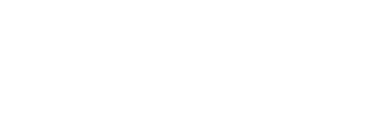Provect AI logo